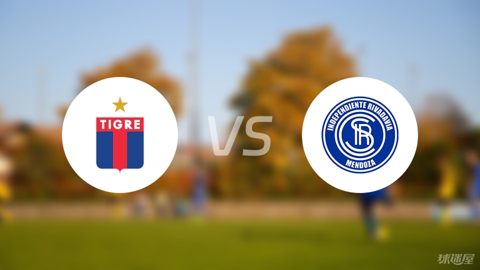 堤格雷vs门多萨独立比赛结果